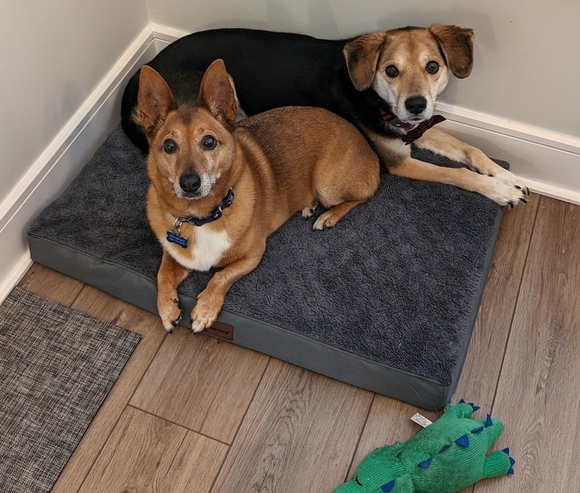 Meet your Posher, Laura - Picture 2 of 2